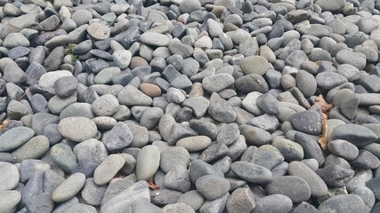 Rock Pebbles, small, rounded, smooth rocks. Texture background for text