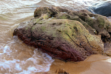 Fossil Rock 7