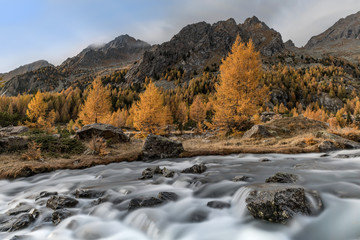 Autumn landscape into Alps mountains, Italy