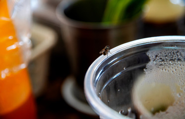 Housefly insect the island is on a glass of water in the restaurant 
