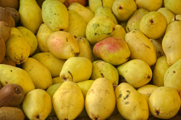 Group of yellow and orange colored Santa Maria Pears on grocery store counter.