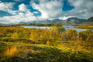 Scenic view over Gimsøy stream at Lofoten Islands
