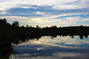 Beautiful view of the Finzel Swamp in Maryland