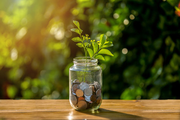 glass of water on wooden table