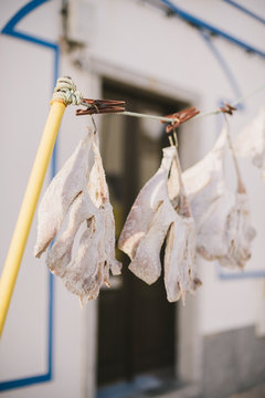 Fish hanging to dry Ericeira, Portugal