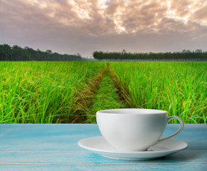 A cup of coffee with blurred rice field rural with colorful of sky in morning light