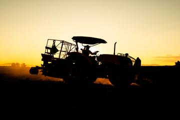 silhouette man controling agrilultural tractor for can p;antation