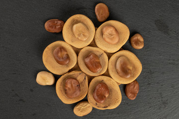 Lot of whole fresh brown bean vicia faba on tree stump flatlay on grey stone