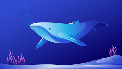 Vector illustration of a blue whale with algae. Sea world