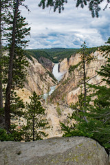 Yellowstone river plunges into the canyon
