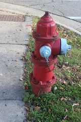 Fototapeta na wymiar red fire hydrant