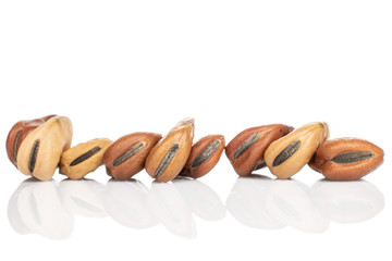 Lot of whole tasty fresh brown bean vicia faba isolated on white background