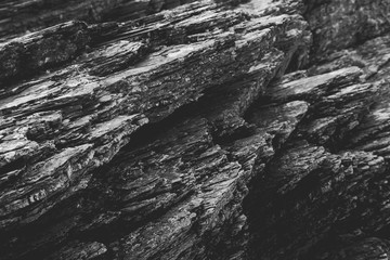 Rock Textures slate lichen 