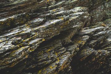 Rock Textures slate lichen 