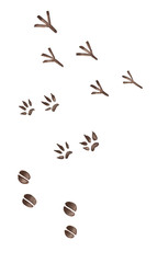 Winter illustration and clip art for holiday decor. Christmas decoration and object on the white isolated background.