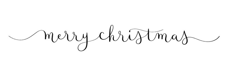 MERRY CHRISTMAS vector brush calligraphy banner with swashes