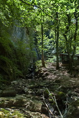 Summer walk through the labyrinth of the Teteven Balkan with high peaks, river and waterfall, Stara Planina, Bulgaria   