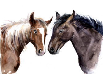 Obraz na płótnie Canvas Cute watercolor horses on the white background