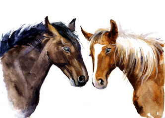 Fototapeta na wymiar Cute watercolor horses on the white background