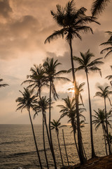 Golden sunset over the ocean