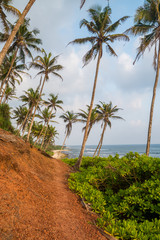 Obraz premium Beautiful ocean view from the jungle