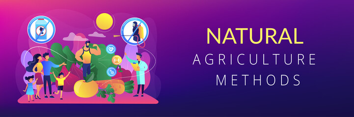 Healthy eating, vegetarian diet, eco veggies. Free from pesticide and herbicide foods, organic farming products, natural agriculture methods concept. Header or footer banner template with copy space.