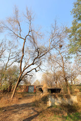 Ancient dwellings in China