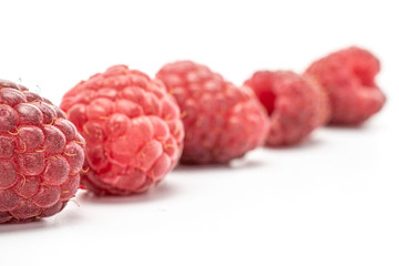 Group of six whole fresh crimson raspberry isolated on white background