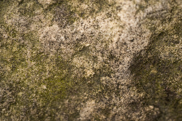 rock ground texture