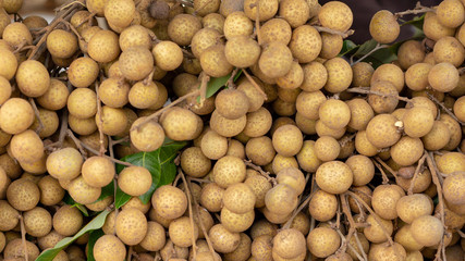  longan fruit on the market. close up details of longan fruit or kelengkeng fruit
