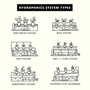 Hydroponics system types. Icon set in outline style. Vector illustration