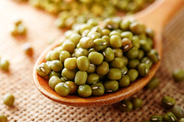 緑豆　ムング豆