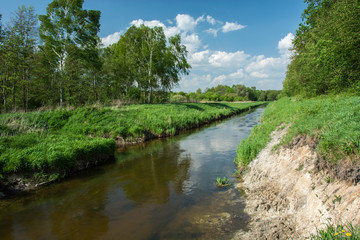Fototapeta na wymiar River flowing through meadow and forest, clouds on blue sky