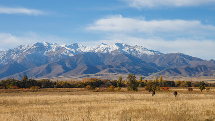 Steppe near Ala Archa national park Bishkeke Kyrgysztan with Tian Shan mountains in background
