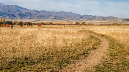 Naklejka premium Steppe near Ala Archa national park Bishkeke Kyrgysztan