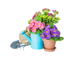 Potted flower, watering can and garden tools on a white background