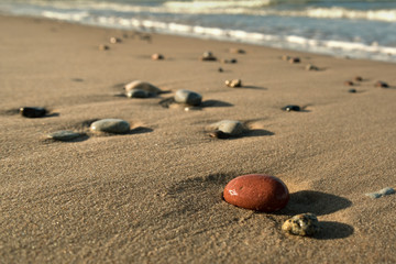 Coastline of Baltic sea.