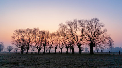 Podlaskie wierzby © podlaski49