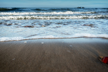 Coastline of Baltic sea.