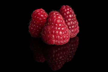 Group of three whole fresh red raspberry isolated on black glass