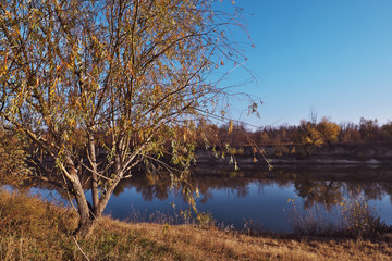 Autumn nature. Coastline.