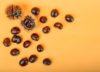 Stylish composition of chestnut on yellow background