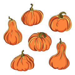 Cartoon pumpkin set. Different shapes and sizes orange gourd isolated on white background. Autumn halloween or thanksgiving pumpkin. Autumn harvest. Squash and gourd vegetable cartoon icons