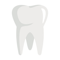 Body part tooth icon in flat style