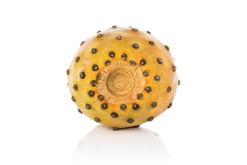 One whole fresh orange opuntia isolated on white background