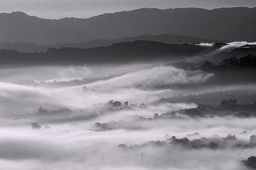 Silhouettes of foggy trees in mountains valley - black and white  landscape background. Asturias, Spain.