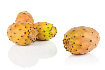 Group of four whole fresh orange opuntia isolated on white background