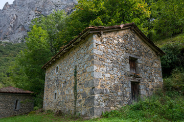 Fototapeta na wymiar Grazing stone hut in the mountains of Rio Cares by the Picos de Europa