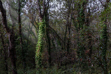 Reserva natural Mottola Italia