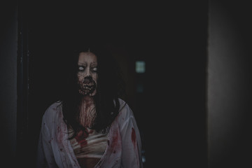 Portrait of asian woman make up ghost face with blood,Horror scene,Scary background,Halloween...